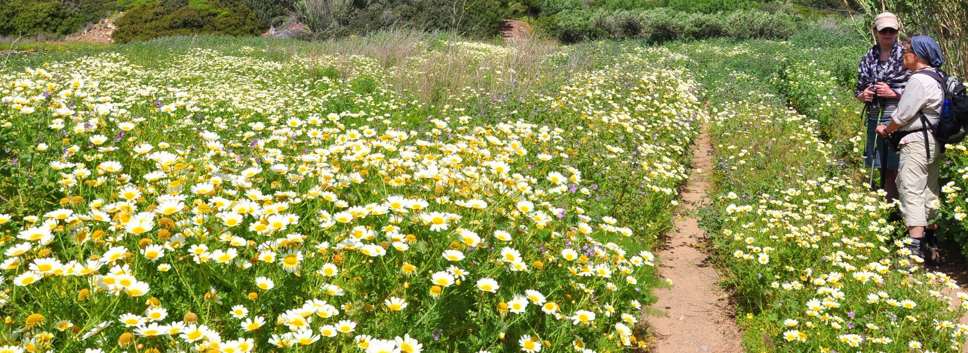 HIKING AND SIGHTS IN SITIA